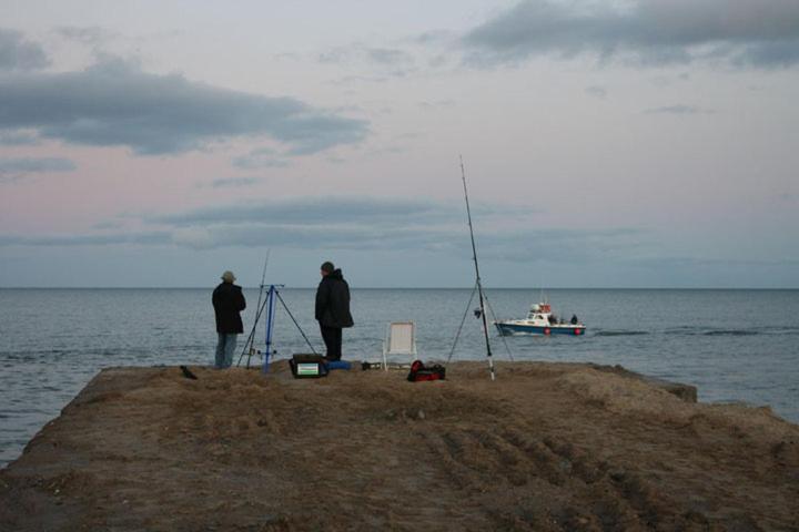 Harbour House B&B Courtown Luaran gambar